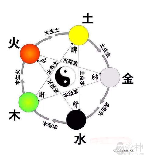 智的五行|智字的五行是什么,智的五行属性及吉利寓意